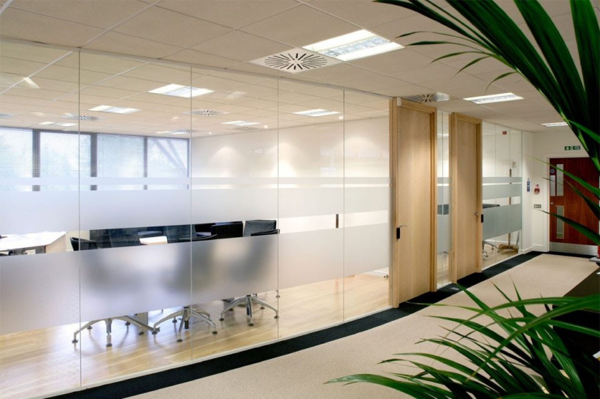 Glass Manifestation London: Privacy, Creativity & DDA - Halo Signs